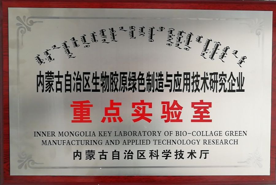 內蒙古自治區企業重點實驗室