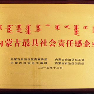 內蒙古最具社會責任感企業