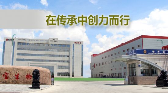 在傳承中創力而行 東寶生物被授予“內蒙古老字號”稱號
